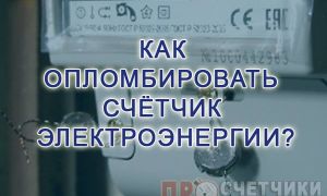 Опломбировка счетчика электроэнерги